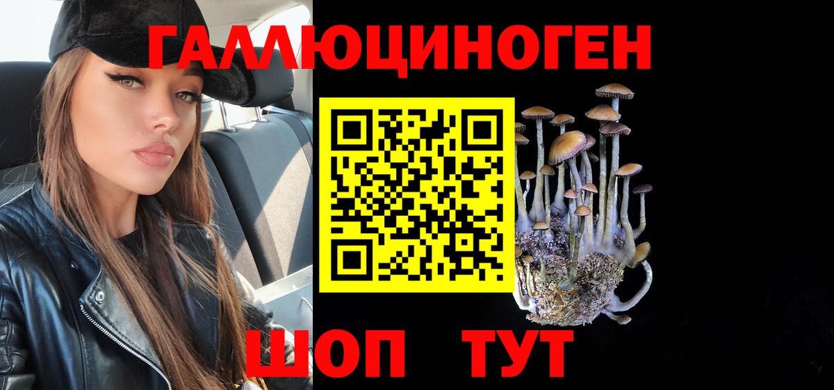 Псилоцибиновые грибы Psilocybine cubensis Переславль-Залесский